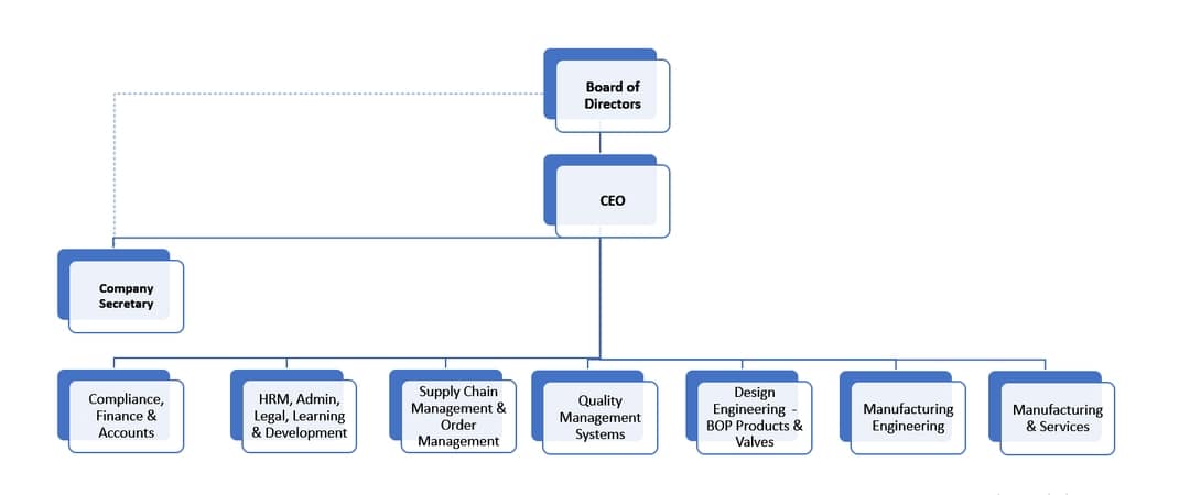 Our Organization Structure